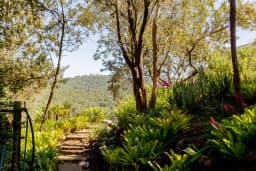 Mi Vida Garden View